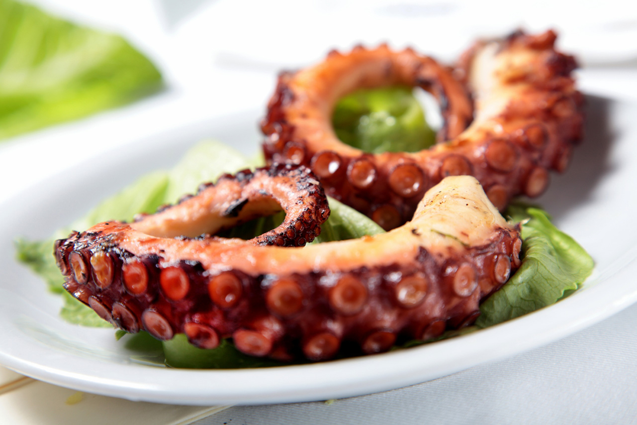 Grilled Octopus Turkish Foodie,Accent Walls In Kitchen