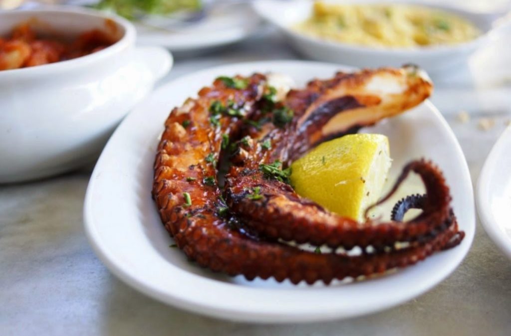 Turkish grilled octopus