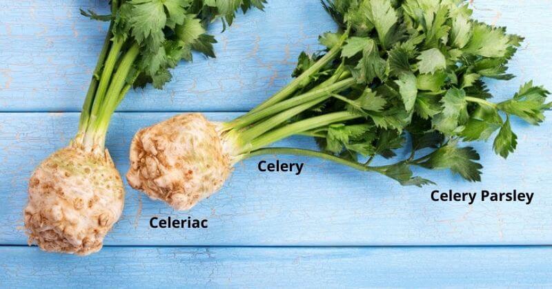Celeriac